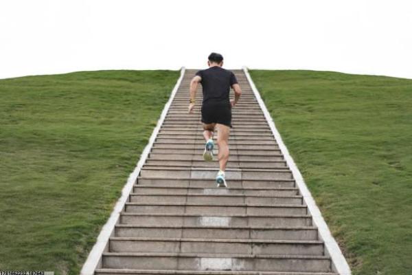 体育培训活动布置的策划与实施(图1)